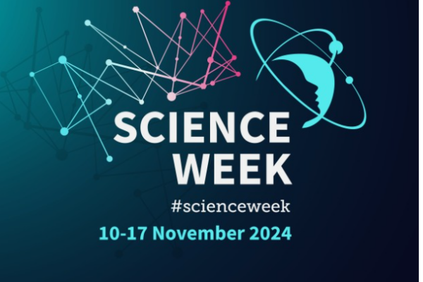 Screenshot 2024-07-16 at 14.54.26