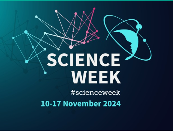 Screenshot 2024-07-16 at 14.54.26